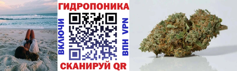 Экстази Лесной