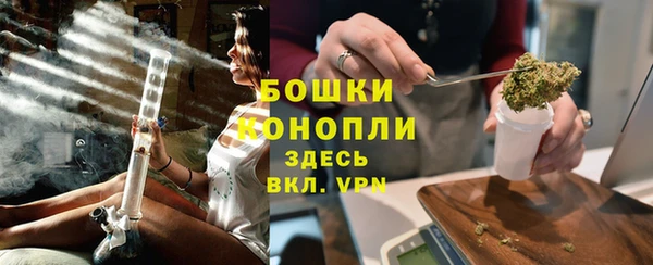индика Снежинск