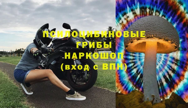 молекула духа Балахна