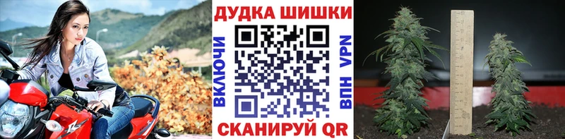 blacksprut ССЫЛКА  что такое наркотик  Лесной  Бошки марихуана конопля 